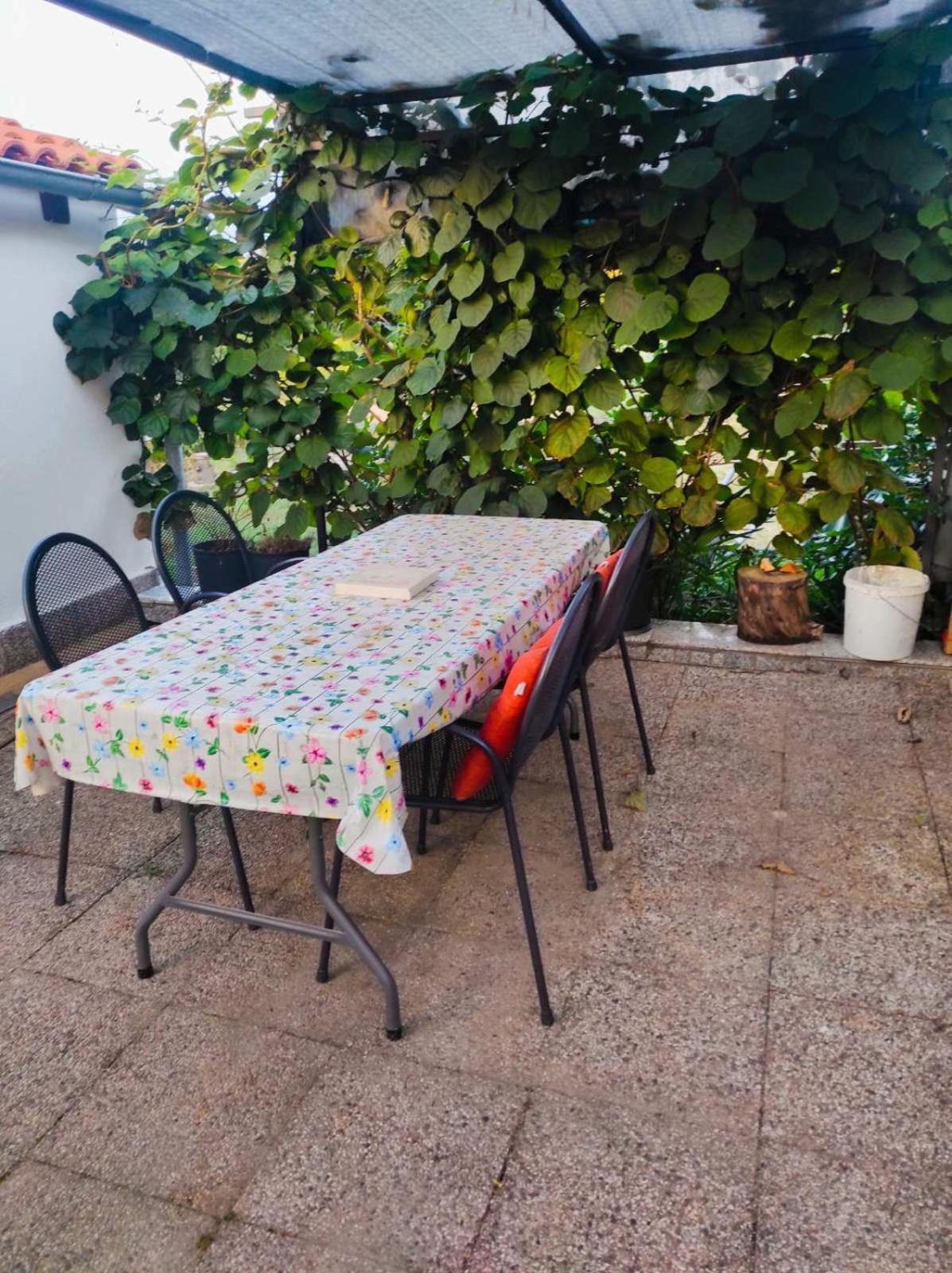Apartman Jenny-Porec Kosinozici Buitenkant foto
