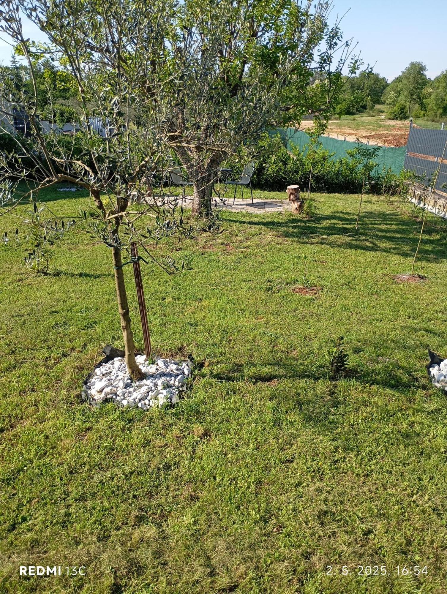Apartman Jenny-Porec Kosinozici Buitenkant foto